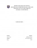 Campo electrico fisica