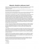 Migración: ¿Beneficio o daño para el país?-