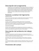 El nuevo Ejemplo de análisis ergonómico del ambiente de trabajo