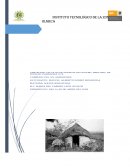La sociedad es el conjunto ordenado de individuos que viven establemente diversos tipos de relación en un tiempo y espacio determinados en donde el derecho es un aspecto de la sociedad