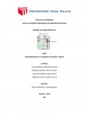 DETERMINACIÓN DE LA DENSIDAD DE LIQUIDO Y SÓLIDO