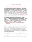 Principios del derecho laboral
