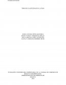 Como se da laEconomia