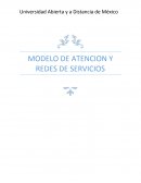Modelos MODELO DE ATENCION Y REDES DE SERVICIOS