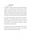 Inspecicones INTRODUCCIÓN- Desaroollo
