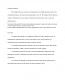 Administracion de operaciones. Descripción de cada proceso