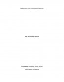 A que se les llama los Fundamentos financiera