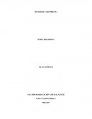 SOCIEDAD COLOMBIANA 2017