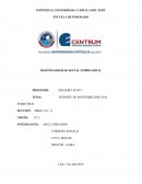 TEMA: REPORTE DE SOSTENIBILIDAD 2015