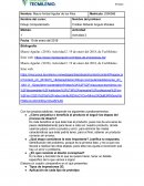 Ejemplo de un gran Dibujo Computarizado