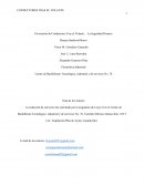 Accidentes automovilisticos. Conductores tras el volante