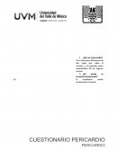 Una membrana fibroserosa de dos capas que cubre al corazón y los grandes vasos separándolos de los órganos vecinos