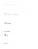 Catedra OBSERVACION REFLEXIVA