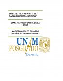 La topica y el razonamiento jurídico CANCÚN, QUINTANA ROO, MARZO DE 2017.