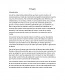 Ensayo en general del ambiente