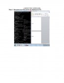 Uso de Wireshark y arpspoof