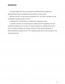 Pae Obstetricia Introducción.