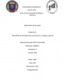 Ejemplo de la Identificación de elementos en un objeto cultural