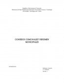 CONSEJOS COMUNALES Y REGIMEN MUNICIPALES