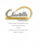 Compilación Para sustentar el curso en: Estilismo y diseñador de imagen