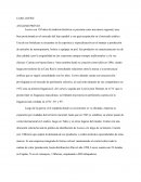 CASO LOEWE ANÁLISIS PREVIO