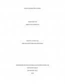 Ensayo información contable