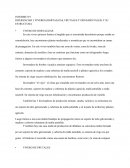 DIFERENCIAR 3 VIVEROS (HORTALIZAS, FRUTALES Y ORNAMENTALES) Y SU ESTRUCTURA