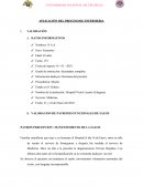 VALORACION DE PATRONES FUNCIONALES DE SALUD