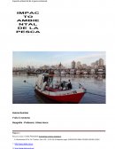 Actividad pesquera Impacto ambiental de la actividad pesquera artesanal