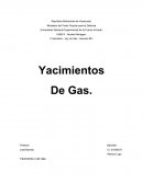 Yacimientos de gas, tipos de gas