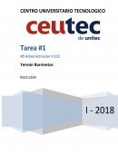 Actitud global de empresa