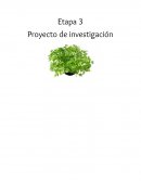 Etapa 3 Proyecto de investigación Laboratorio de ciencias experimentales