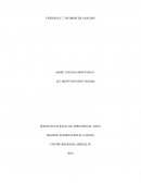 INFORME DE METODO DE PONDERADO