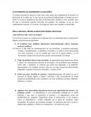La investigación con cannabinoides y su uso médico