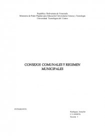 CONSEJOS COMUNALES Y REGIMEN MUNICIPALES. Página 1