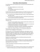 Que tipo de las Cuturas organizativas