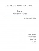 Como se da la Orientación Sexual