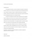 INVESTIGACIÓN PRELIMINAR INTRODUCCION