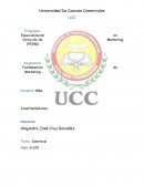 Avances de los informes de los Fundamentos