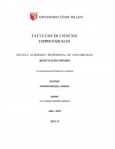 La importancia del Proceso de la Auditoria