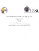 Articulo cientifico de huerto de perejil Preparatoria 15
