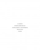 GESTION LOGISTICA Y ABASTECIMIENTO - LA LOGISTICA