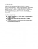 Auditoir OBJETIVOS ESPECIFICOS