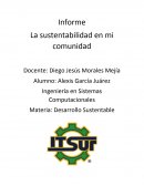 Ensayo sobre La sustentabilidad en mi comunidad