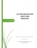 ¿La naturaleza nos sirve para innovar?