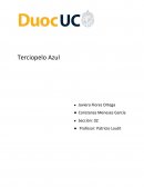 Guion Terciopelo Azul