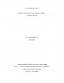 GERSON ALEXANDER VILLAMIZAR RAMÍREZ