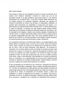 Marco teórico teorista