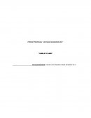 Proyecto PREMIO PROVINCIAL “ LECTURAS SOLIDARIAS 2017”