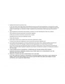 EL CEO QUE METIA LA PATA CADA VEZ QUE ABRIA LA BOCA Explique brevemente de qué trata el caso.